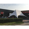 Stertent 19x10 meter