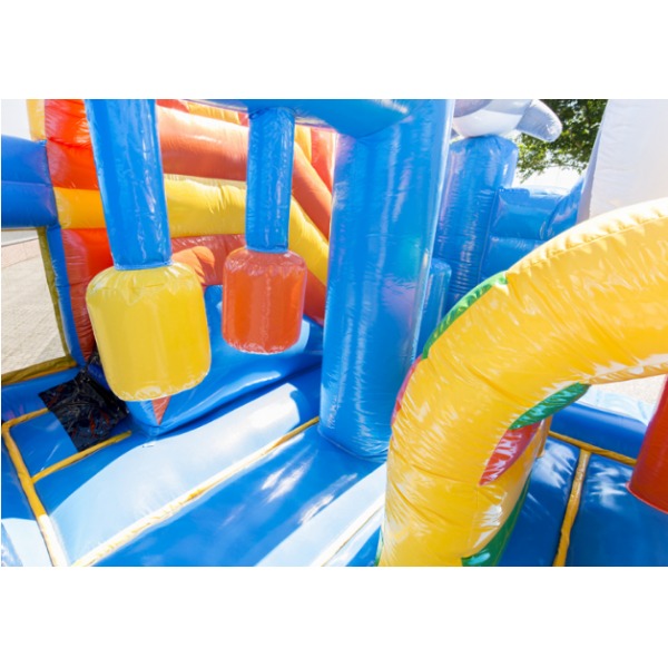 Springkussen Multiplay Dolfijn